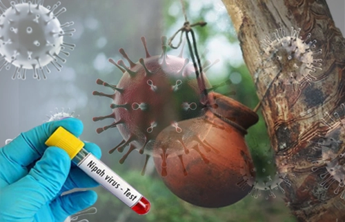 Nipah Virus Alert in Kolkata